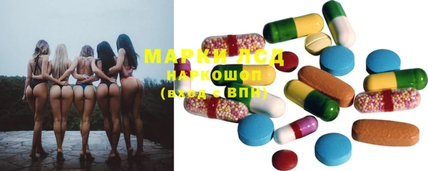 PSILOCYBIN Михайлов