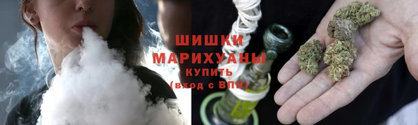 PSILOCYBIN Михайлов