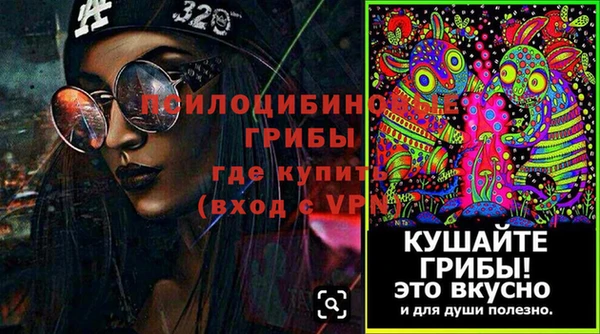 PSILOCYBIN Михайлов