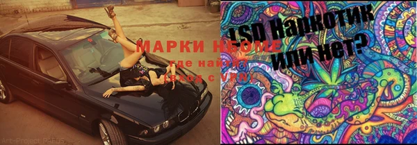 PSILOCYBIN Михайлов