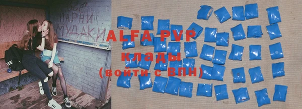 PSILOCYBIN Михайлов