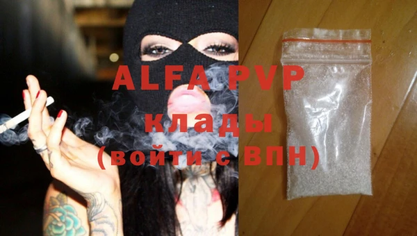 PSILOCYBIN Михайлов