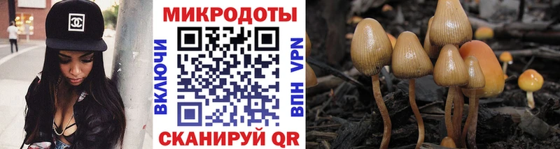 Галлюциногенные грибы Magic Shrooms  Купить  Мышкин 